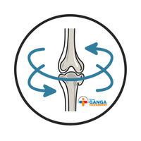 Orthopaedics & Joint Replacement
