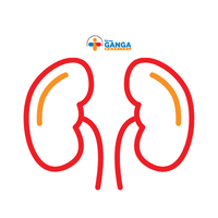 Kidney Transplant & Nephrology