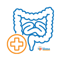 Gastroenterology