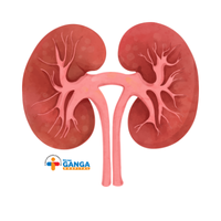 Urology