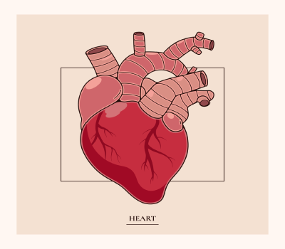 Heart Valve Replacement Surgery in Nanded